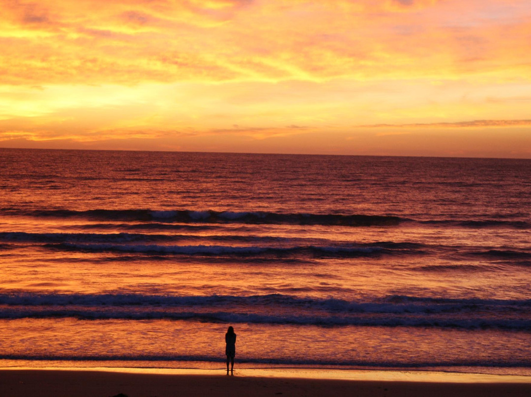 Natural Treasures Tour - Day Tours-New Gisborne必去景点