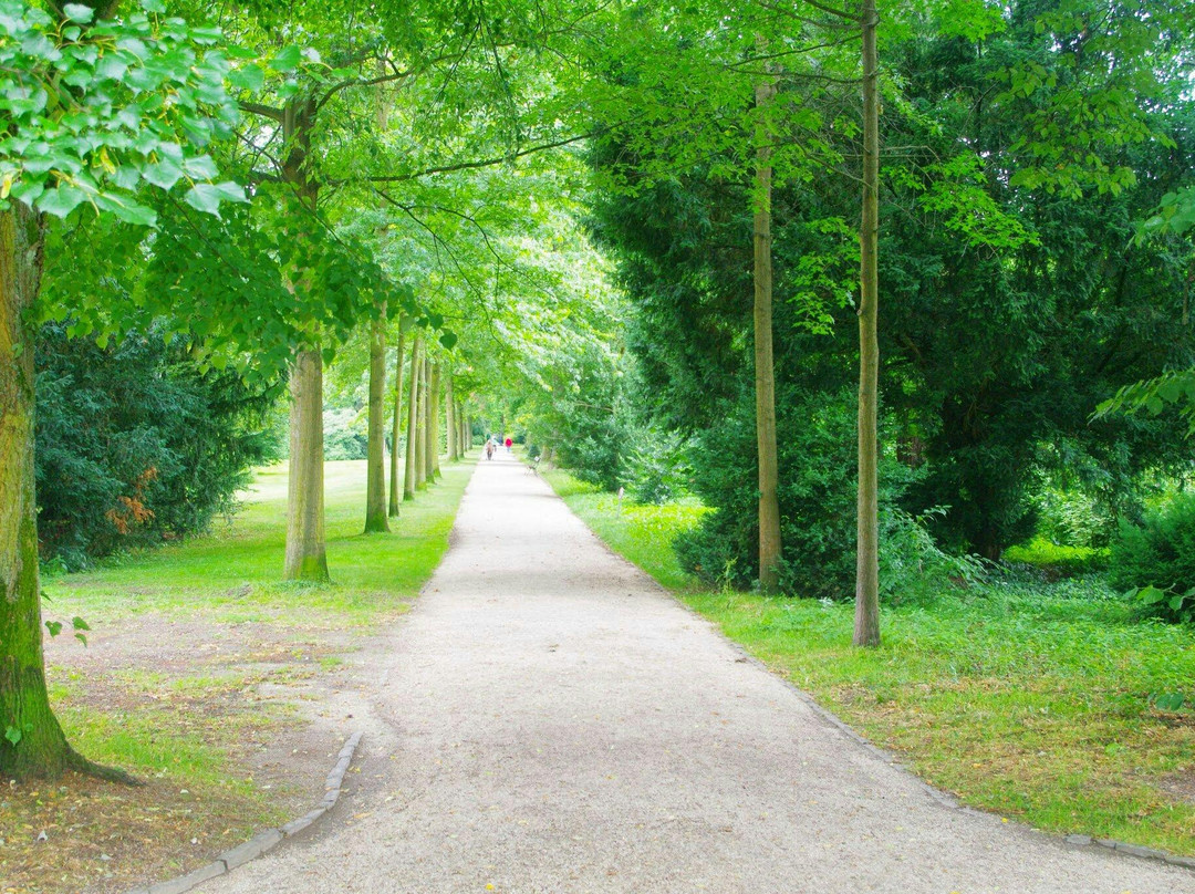 Bad Homburg Palace (Landgraves' Castle & Castle Park)景点图片
