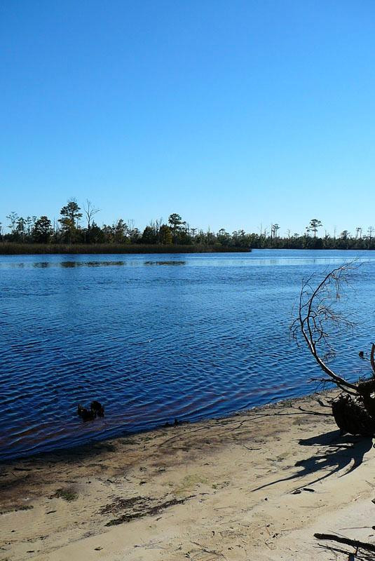 Ochlockonee River State Park-Sopchoppy必去景点