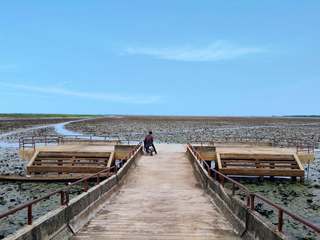 Thale Noi Waterfowl Park-郡干仑必去景点