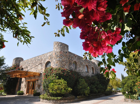 Temascalcingo酒店住宿-Hotel Hacienda Cantalagua