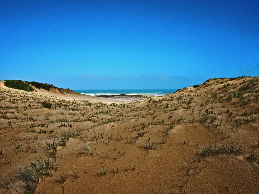 Coorong Wilderness Lodge