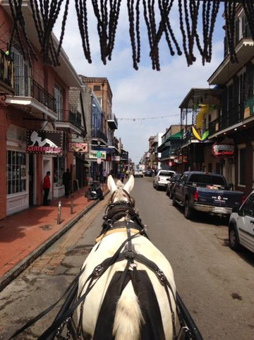 Royal Carriages-新奥尔良必去景点