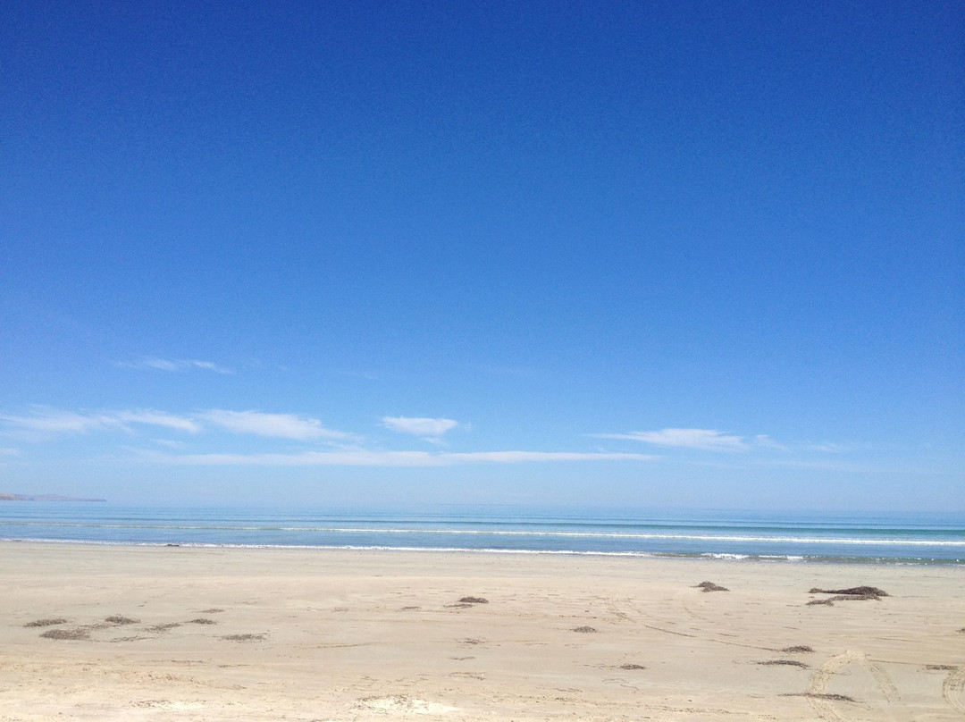Aldinga Beach景点图片