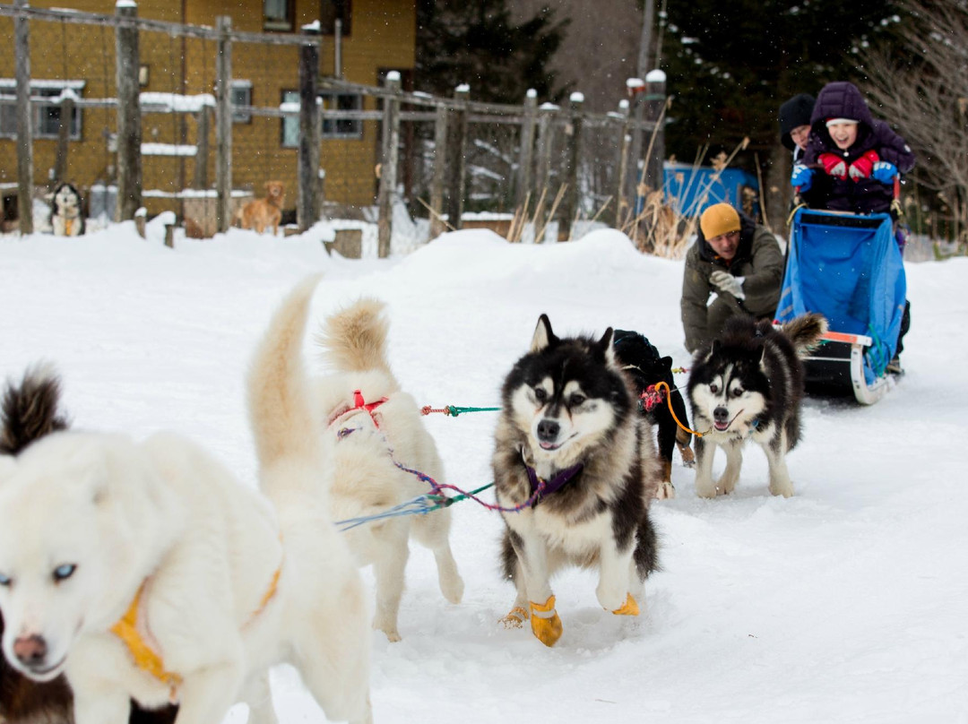 Donkoro Outdoor School-南富良野町必去景点