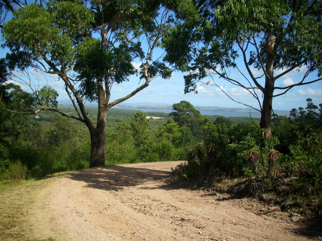 Arboretum Lussich-埃斯特角城必去景点