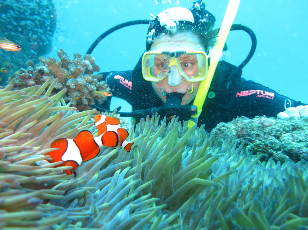 Pro Dive Cairns-凯恩斯必去景点