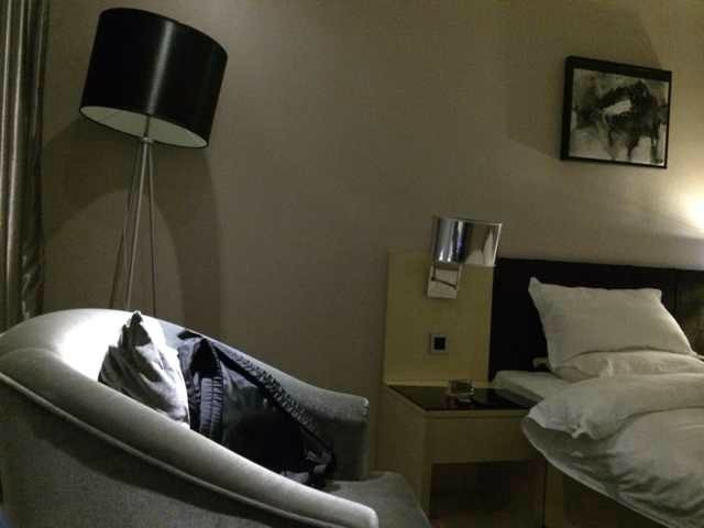 铂晶大酒店主图