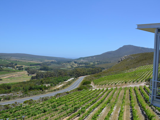 La Vierge Wines-赫曼努斯必去景点