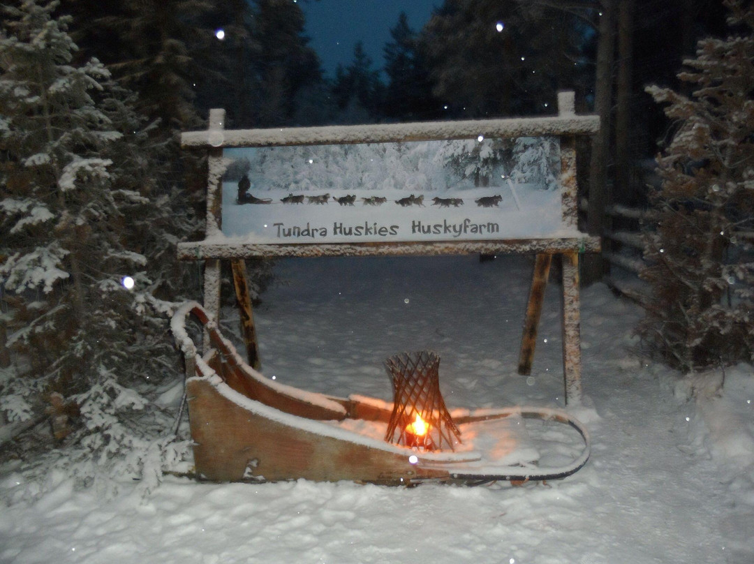 Tundra Huskies Huskyfarm-Levi必去景点