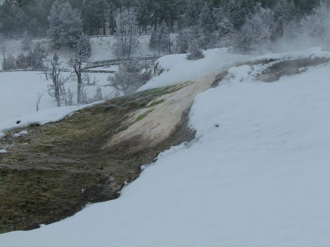 猛犸象温泉-黄石国家公园必去景点