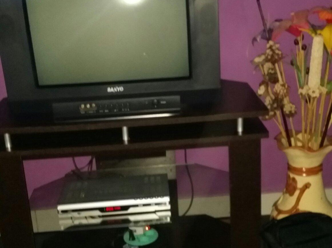 Dieng Pass Homestay主图