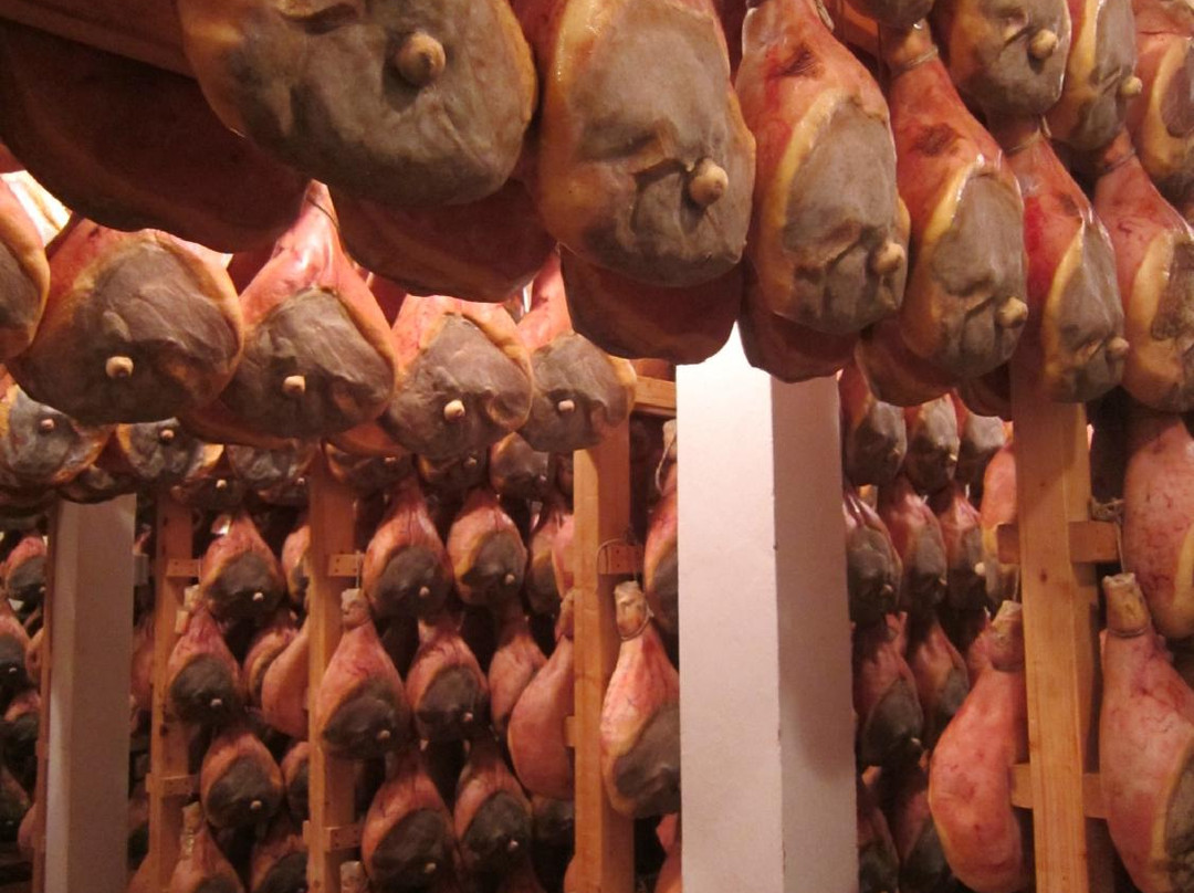 Sol Levante Tour-博洛尼亚必去景点