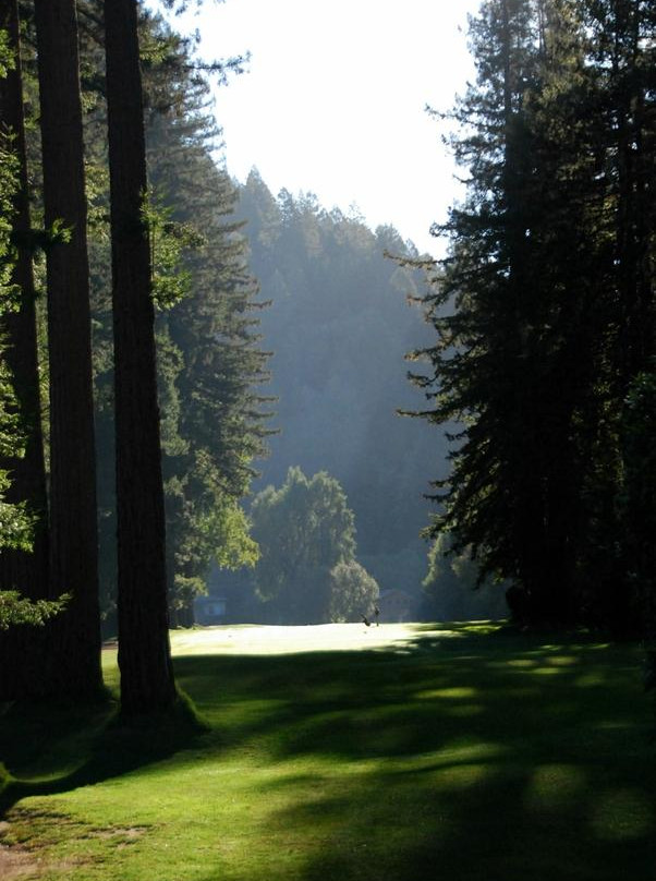 Northwood Golf Club景点图片