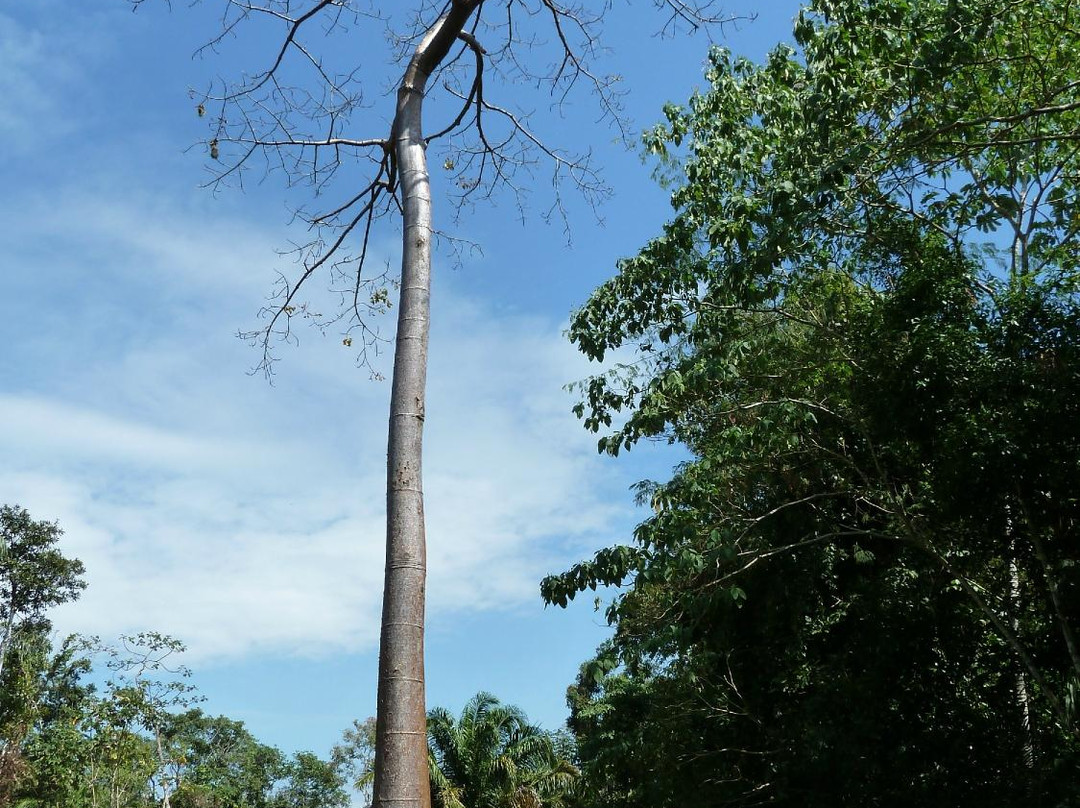 El Chocolatal Golf Eco Resort-Rurrenabaque必去景点