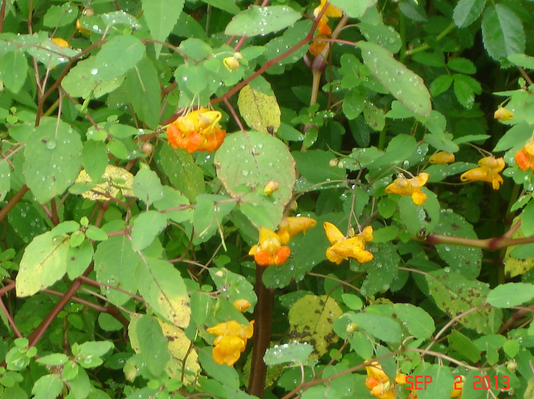 Callahan State Park-弗雷明汉必去景点