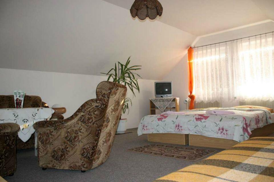 Tesany酒店住宿-Penzion U Kraliku