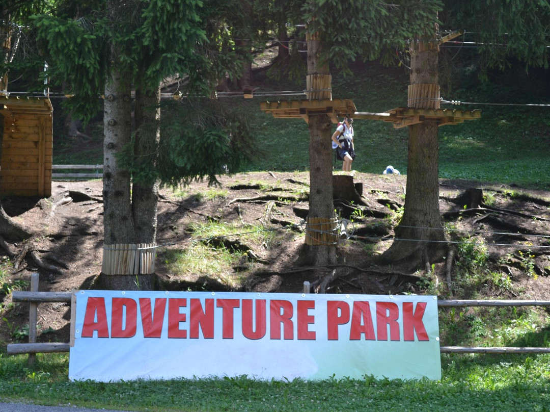 Adventure Park Piciocaa景点图片