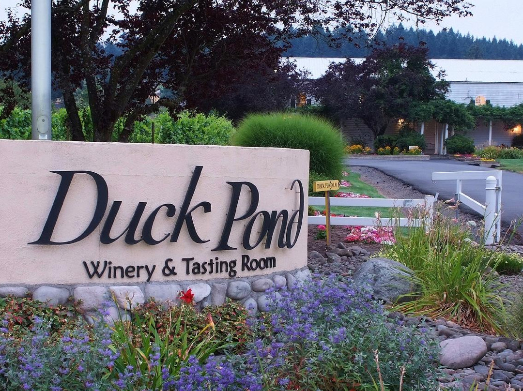 Duck Pond Cellars-Dundee必去景点