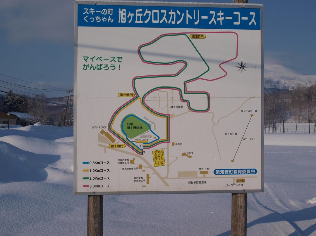 Asahigaoka Ski Areas-俱知安町必去景点