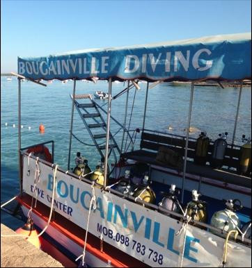 Bougainville Diving景点图片