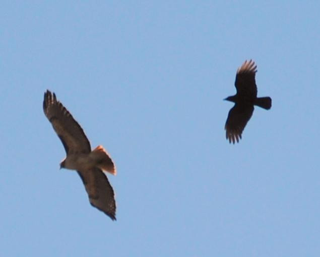 Second Street Promenade-波莫纳必去景点