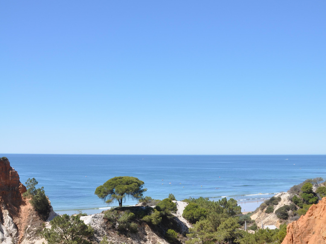 Praia da Falésia景点图片