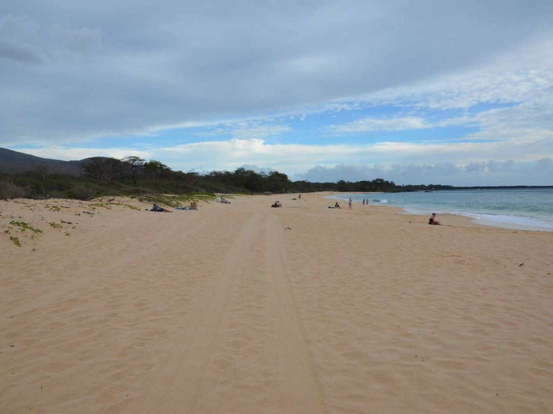 尼拉海滩-维雷亚必去景点