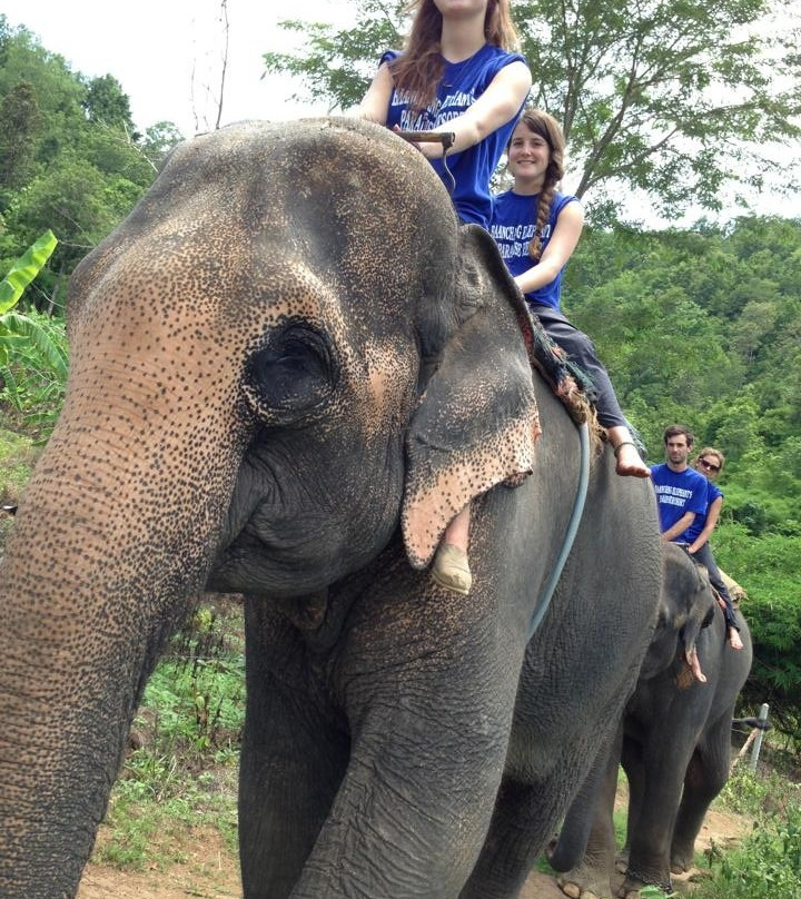 Baanchang Elephant's Paradise景点图片