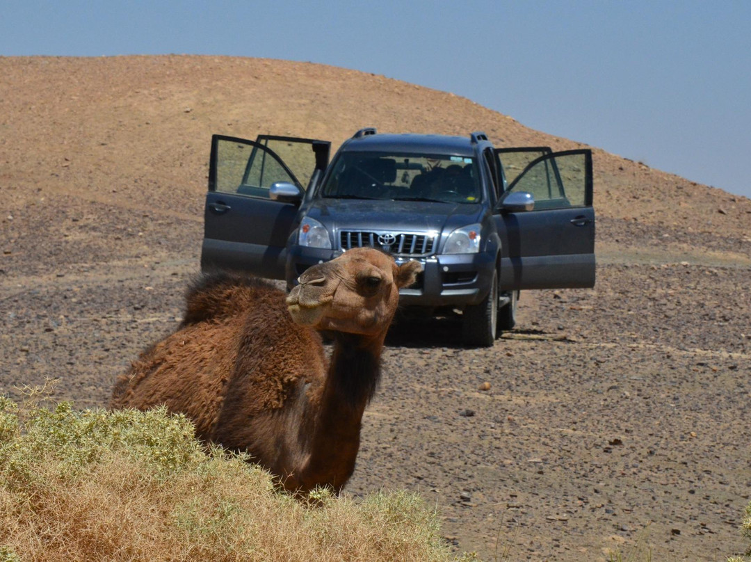 Ligne d'Aventure - Day Tours-拉巴特必去景点