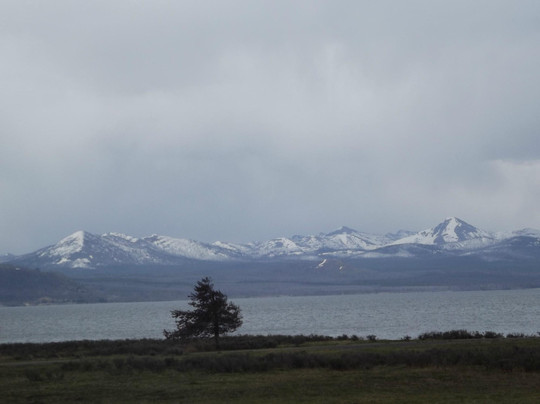 Lava Creek Adventures-西黄石镇必去景点