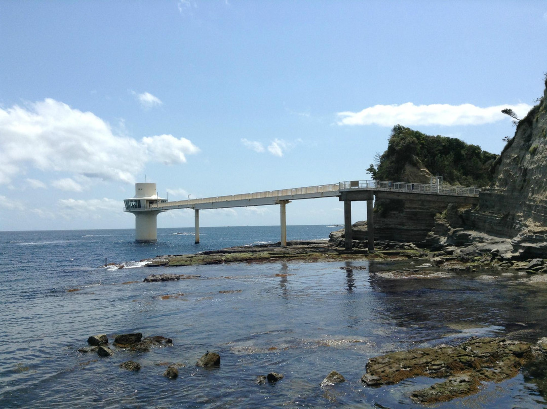 Katsuura Undersea Park景点图片