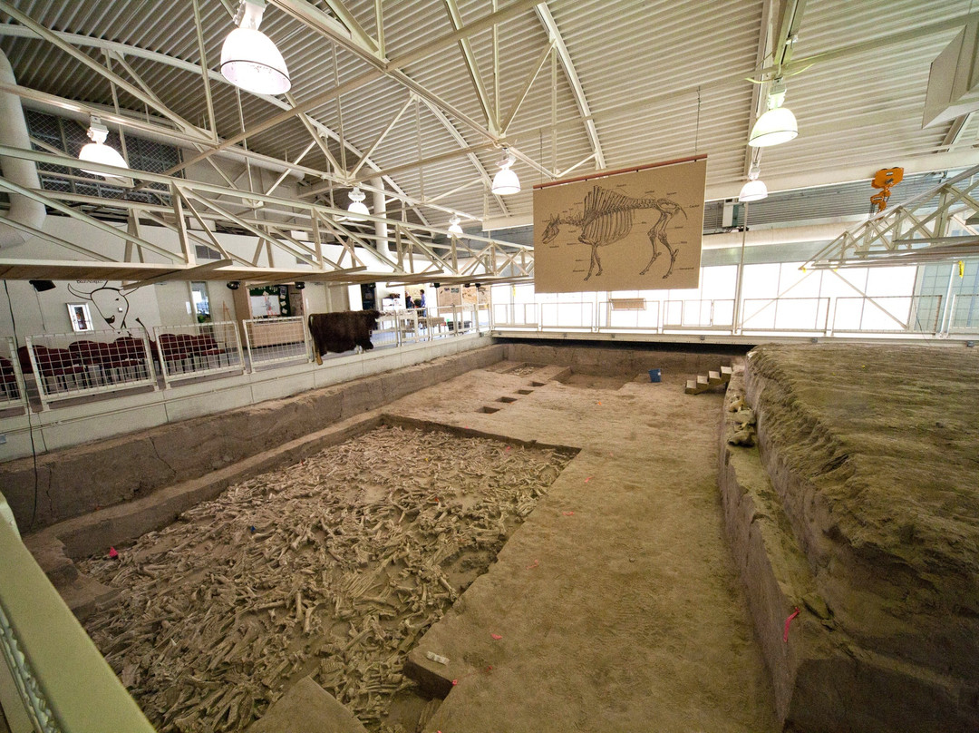 Hudson-Meng Bison Kill Research & Visitor Center景点图片