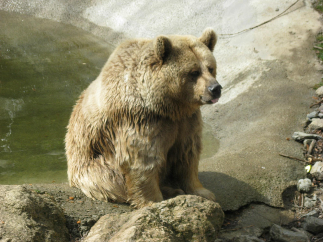 Mollo Parc-Mollo必去景点