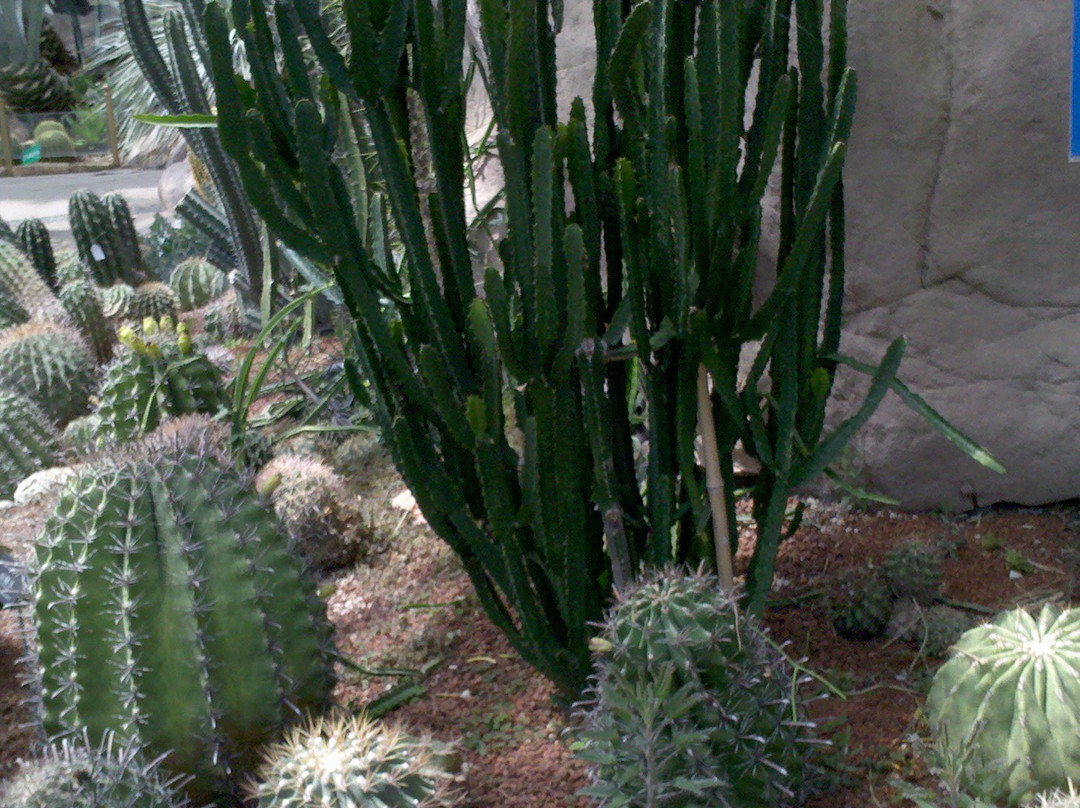 植物园温室-北京市必去景点