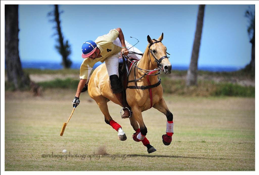 Hawaii Polo Club-瓦亚禄必去景点