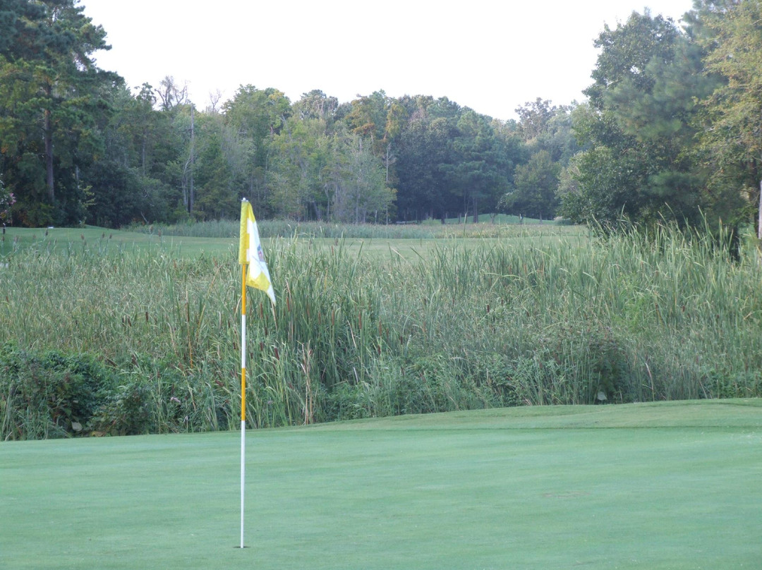Sound Golf Links at Albemarle Plantation景点图片