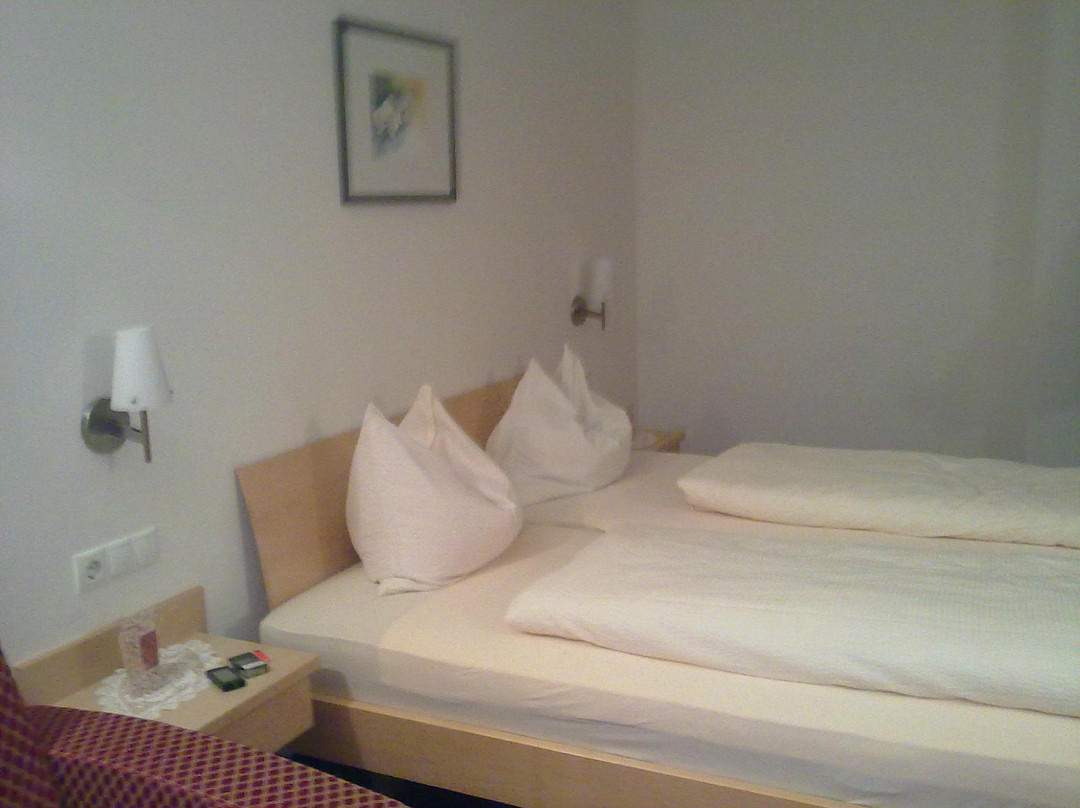 Hafner Rosengarten主图