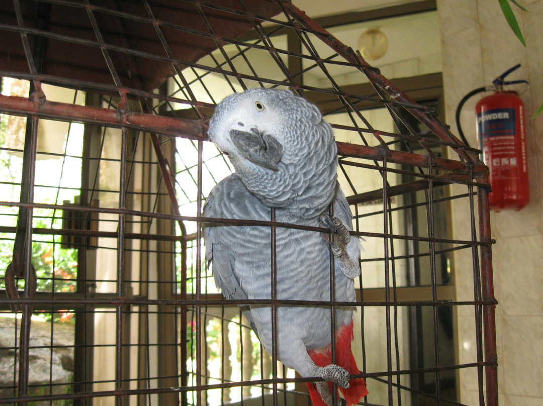 Walkgard Hotel主图