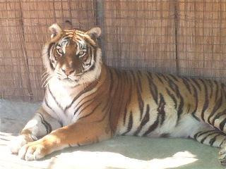 ZOO Lujan景点图片