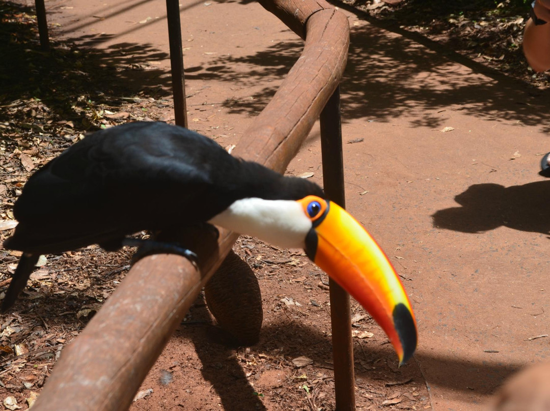 Parque das Aves-伊瓜苏必去景点