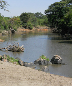 Grumeti River景点门票图片