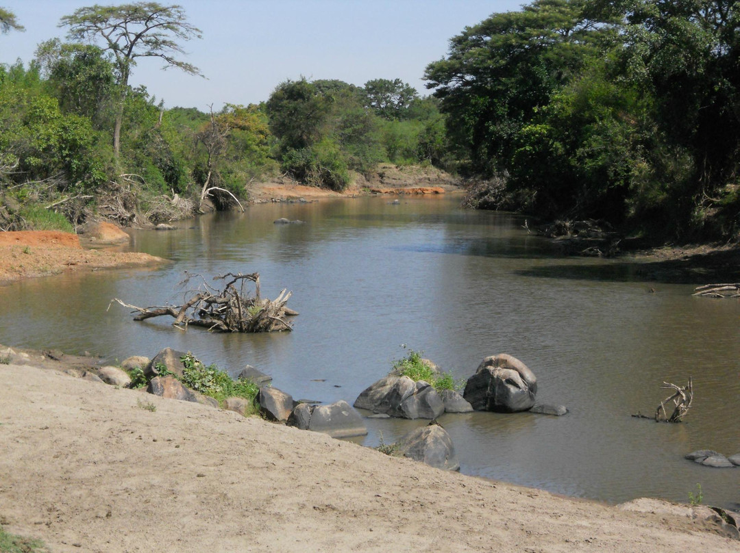 Grumeti River景点图片