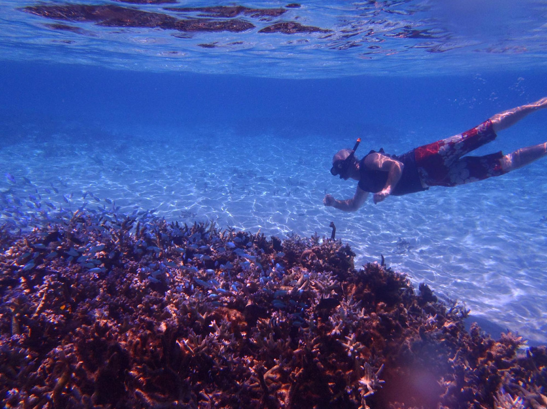 Hakau Adventures Day Cruises-Neiafu必去景点