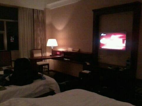 环球国际大酒店-客卧