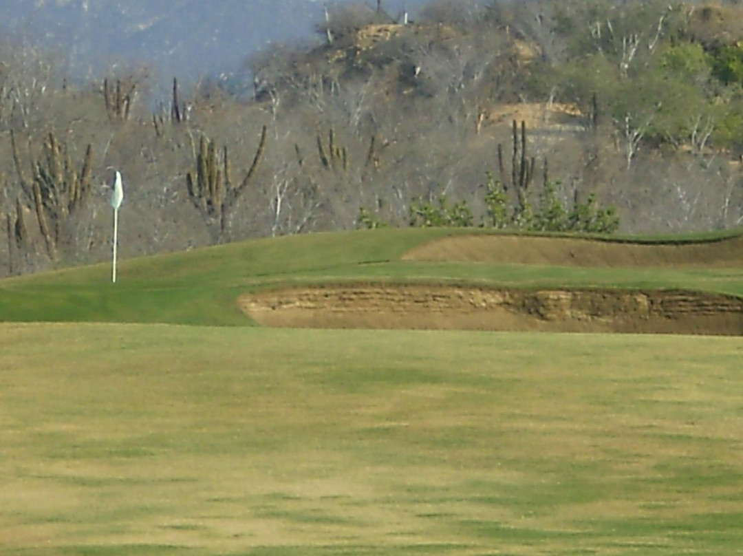 Questro Golf-卡波圣卢卡斯必去景点