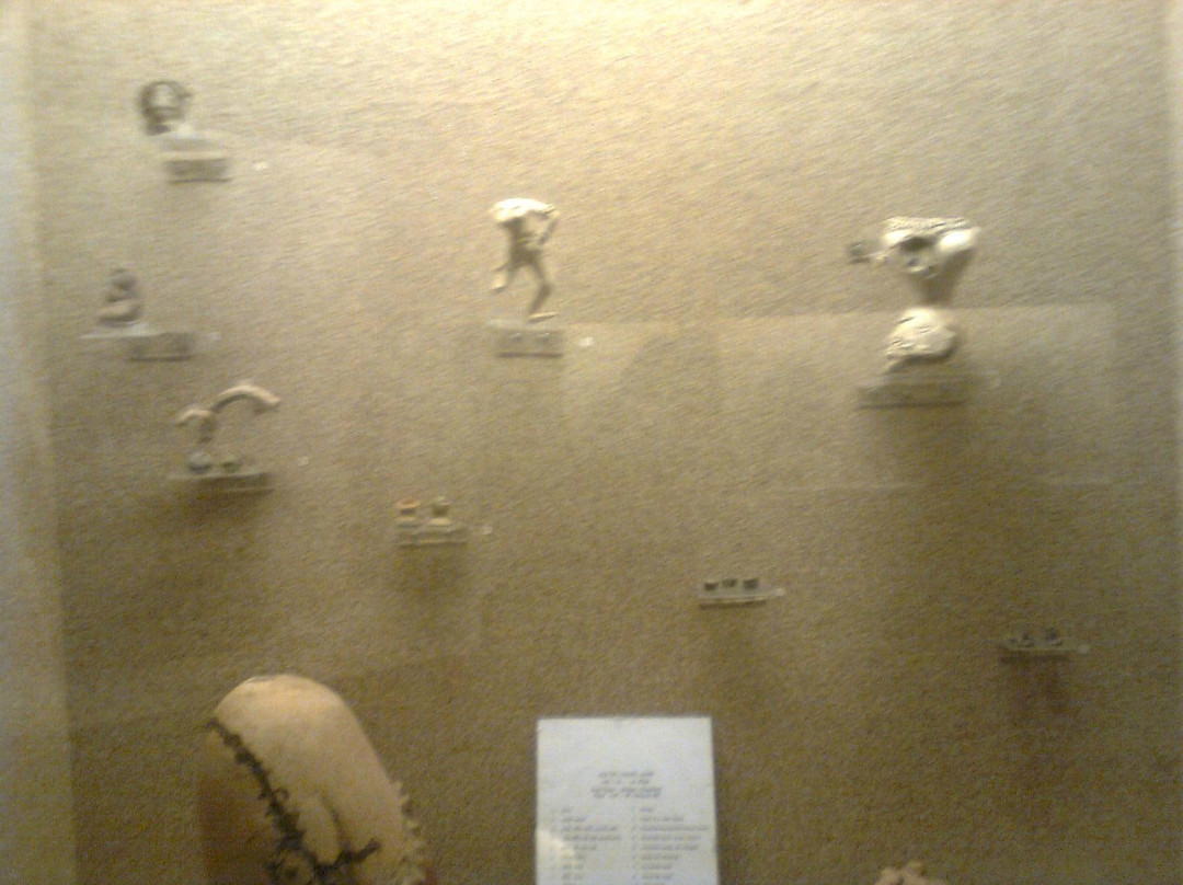 Assam Rajyik State Museum景点图片