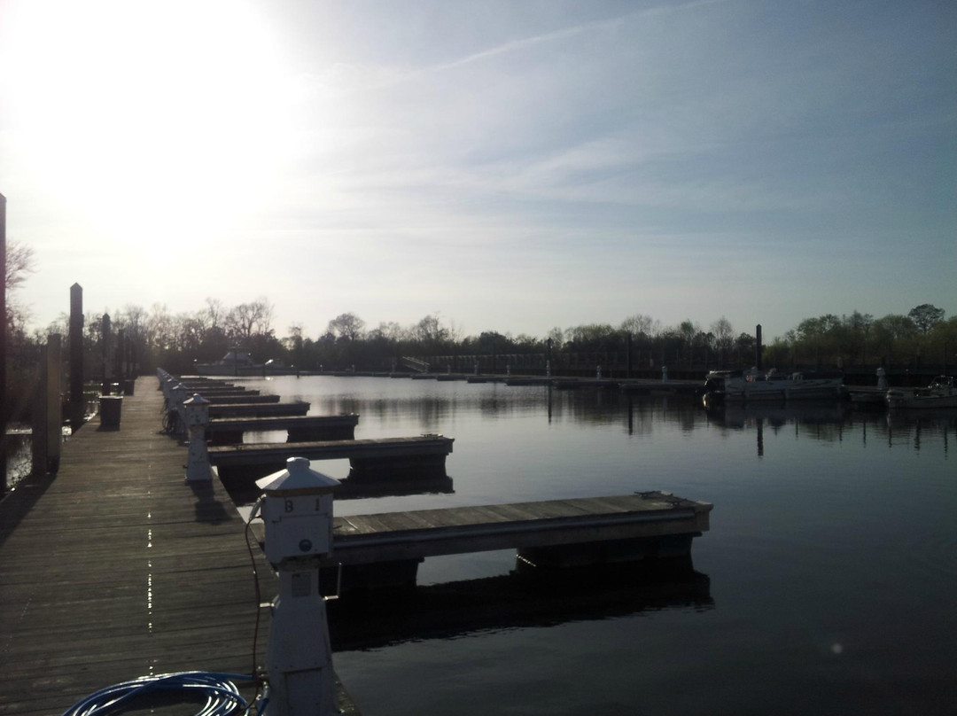 Litchfield Plantation主图