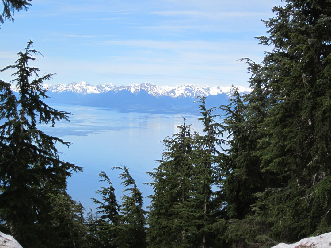 Icy Strait Point ZipRider-胡纳必去景点