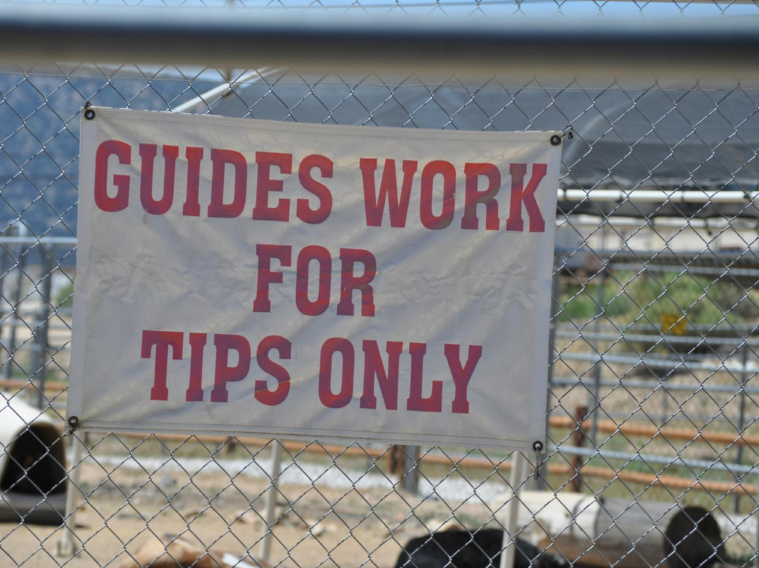 Baldwin Lake Stables-大熊湖必去景点